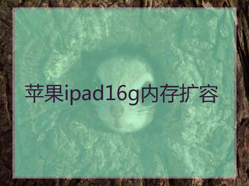 苹果ipad16g内存扩容