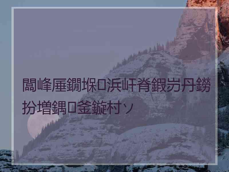 闆峰厜鐗堢浜屽脊鍜岃丹鐒扮増鍝釜鏇村ソ