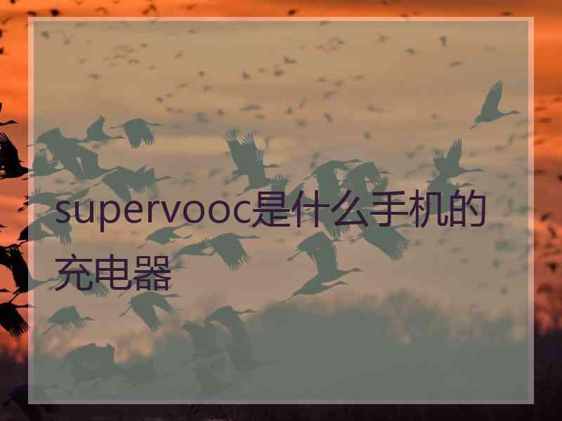 supervooc是什么手机的充电器