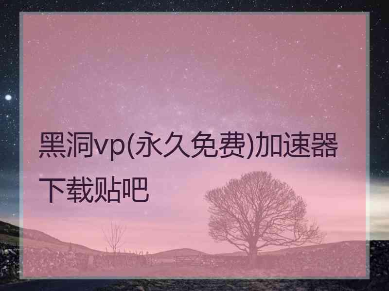 黑洞vp(永久免费)加速器下载贴吧