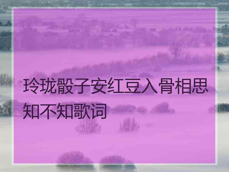 玲珑骰子安红豆入骨相思知不知歌词