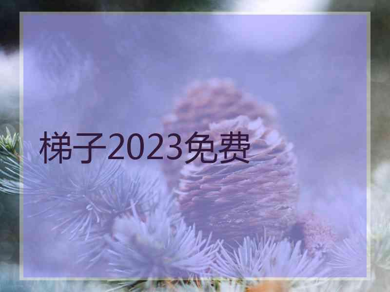 梯子2023免费