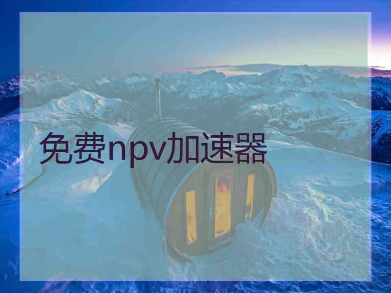 免费npv加速器