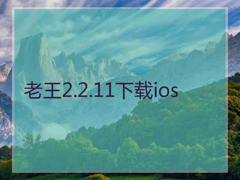 老王2.2.11下载ios