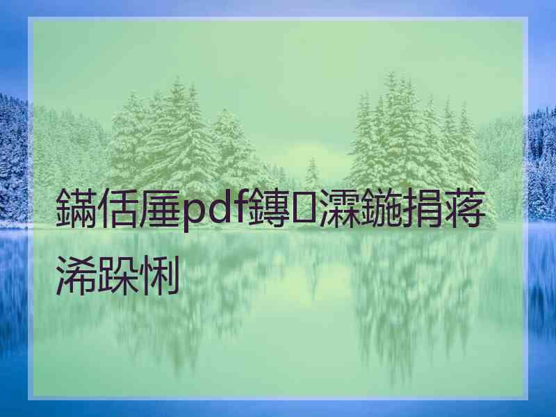 鏋佸厜pdf鏄瀮鍦捐蒋浠跺悧