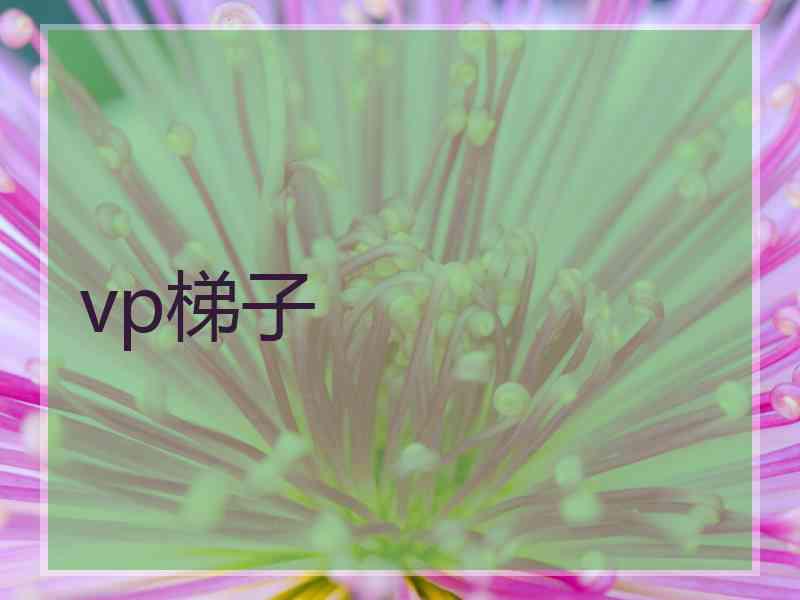 vp梯子