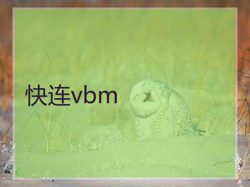 快连vbm