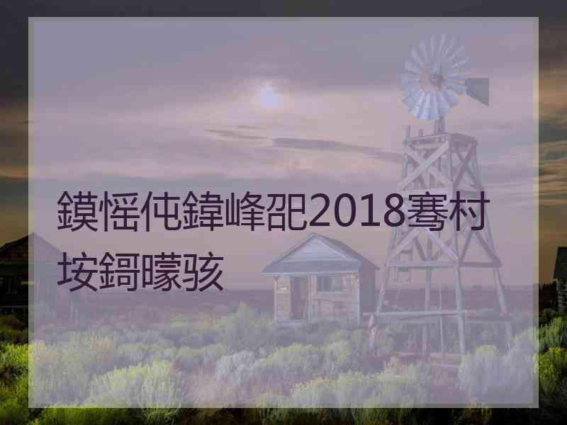 鏌愮伅鍏峰巶2018骞村垵鎶曚骇