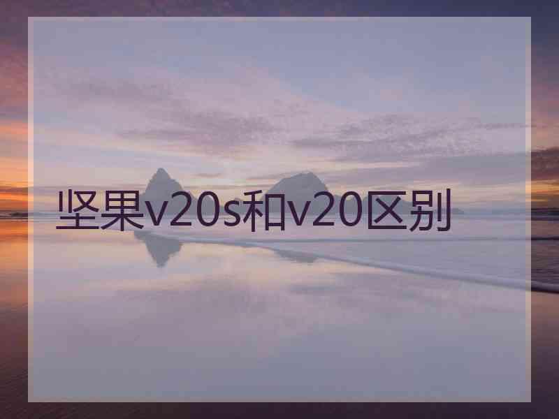 坚果v20s和v20区别