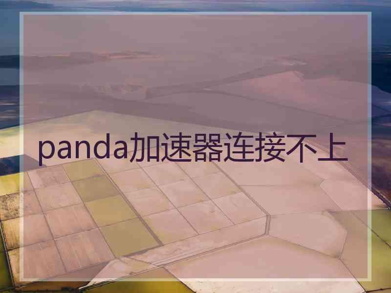 panda加速器连接不上