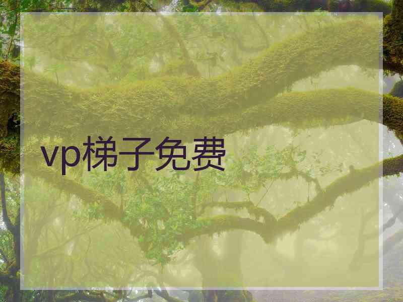 vp梯子免费