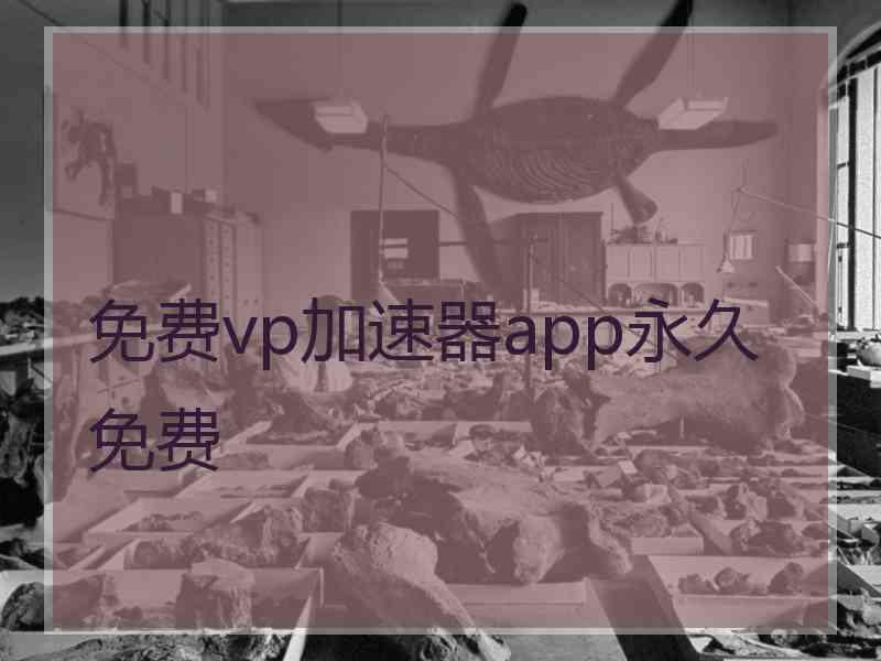 免费vp加速器app永久免费