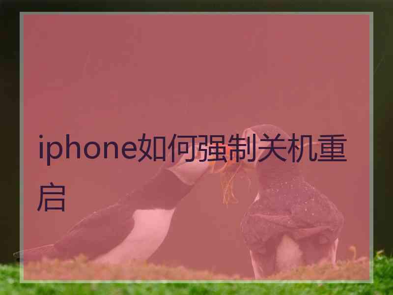 iphone如何强制关机重启