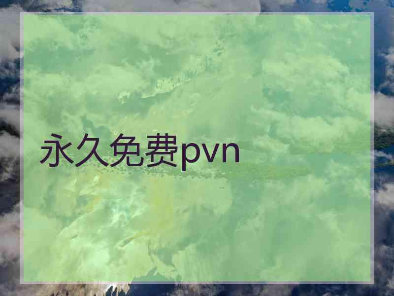 永久免费pvn