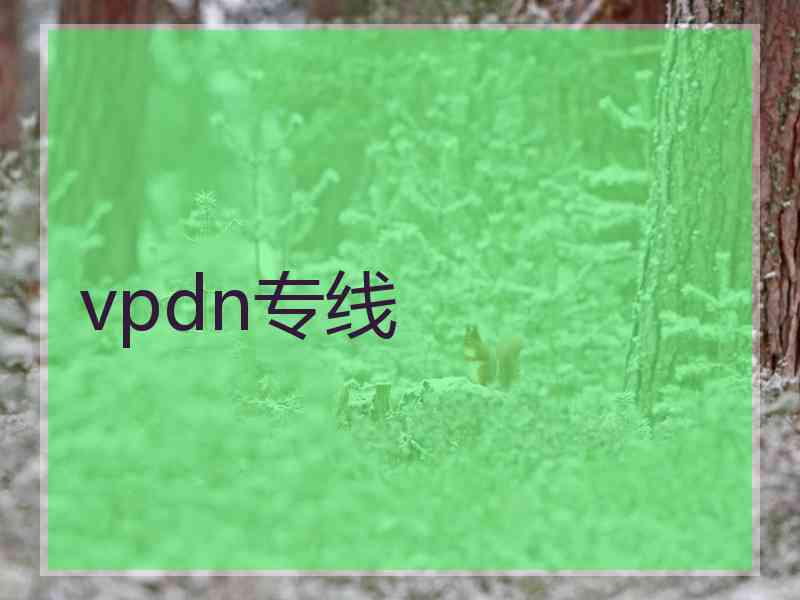 vpdn专线