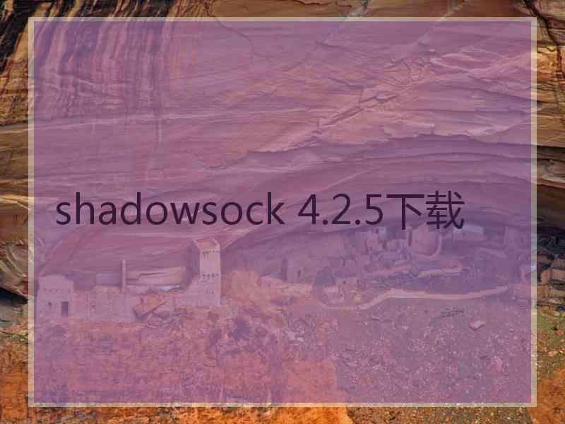 shadowsock 4.2.5下载