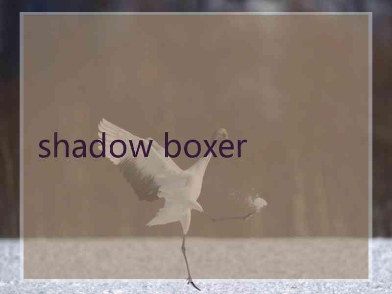 shadow boxer