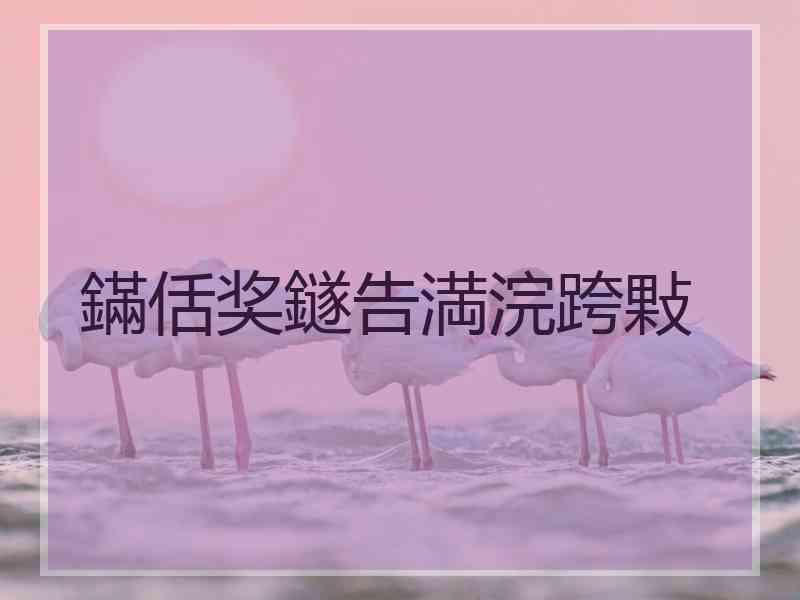 鏋佸奖鐩告満浣跨敤