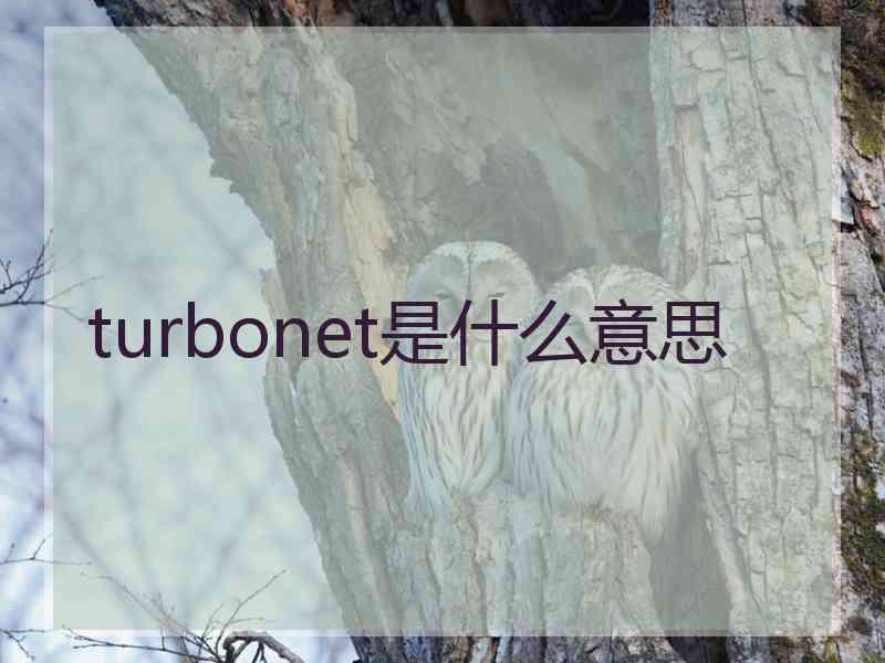 turbonet是什么意思