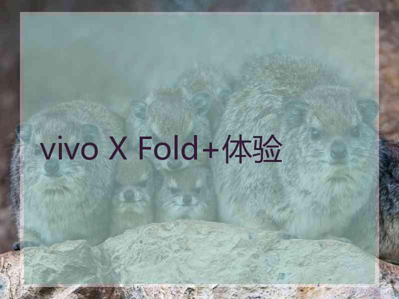 vivo X Fold+体验