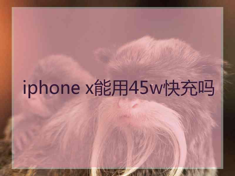 iphone x能用45w快充吗