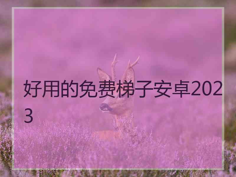 好用的免费梯子安卓2023