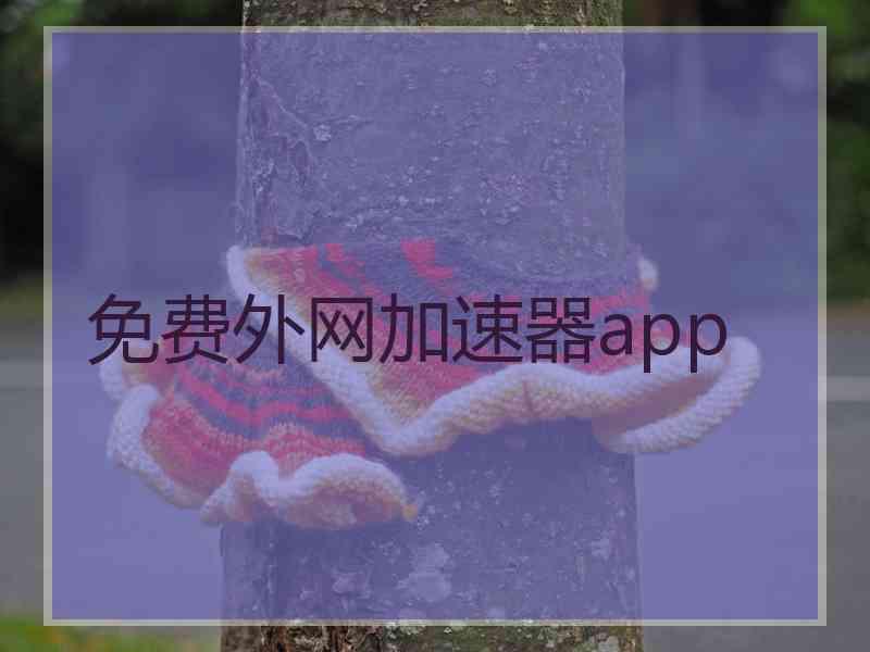 免费外网加速器app