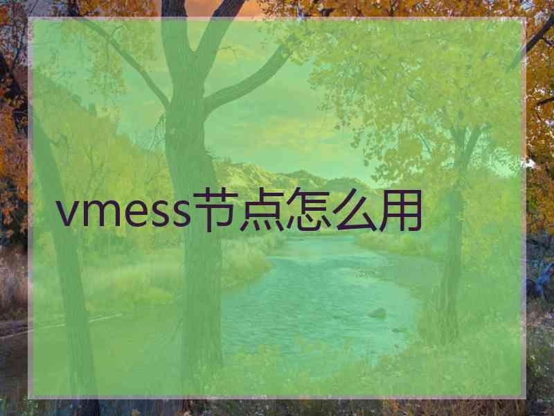 vmess节点怎么用