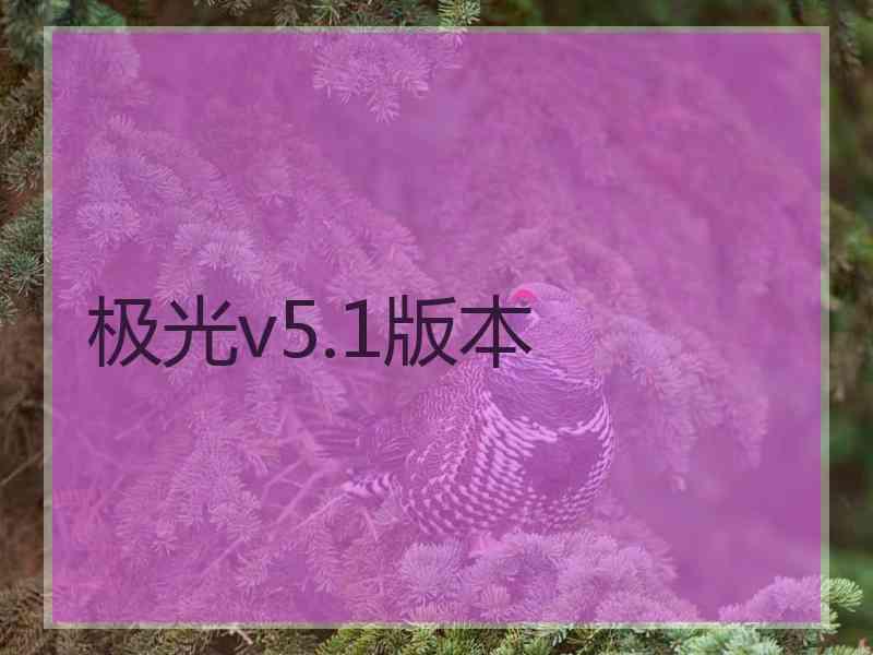 极光v5.1版本