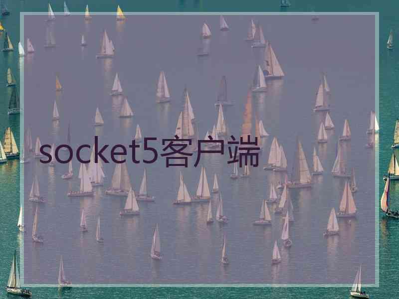 socket5客户端