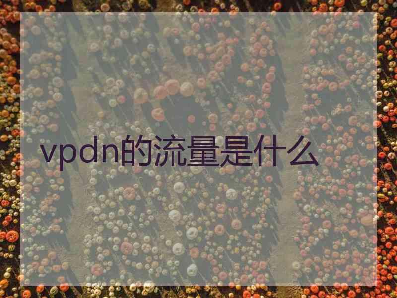 vpdn的流量是什么