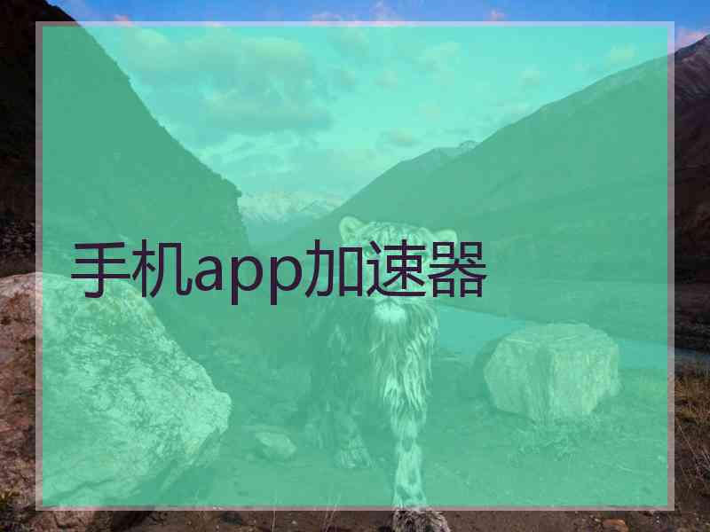 手机app加速器