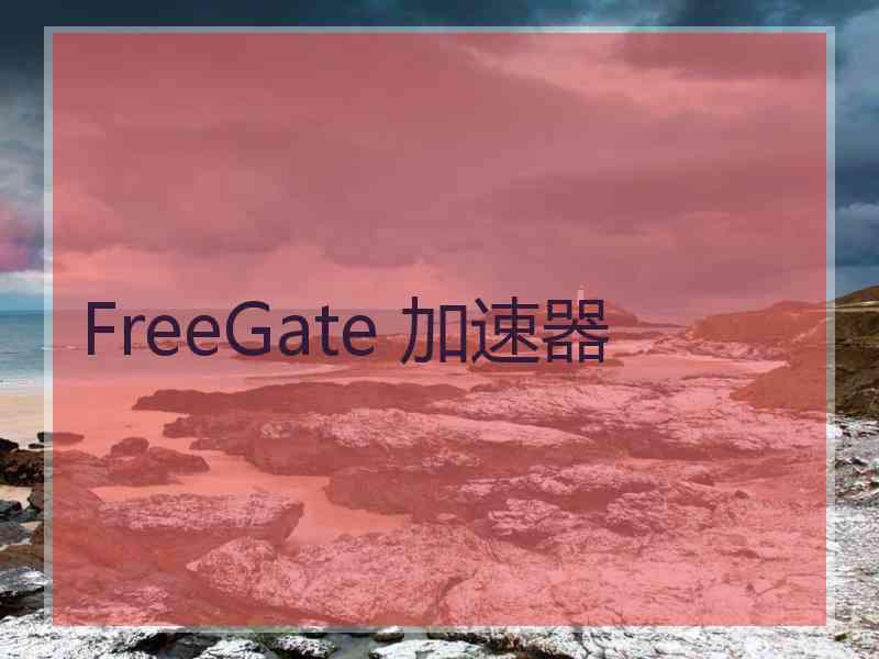 FreeGate 加速器