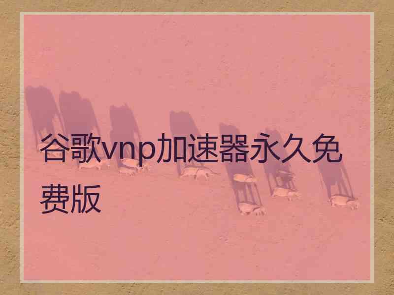 谷歌vnp加速器永久免费版