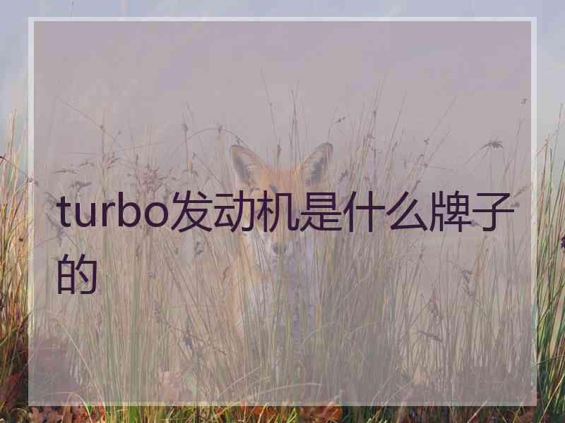 turbo发动机是什么牌子的