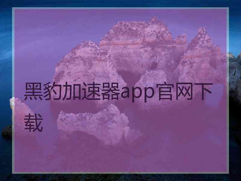 黑豹加速器app官网下载