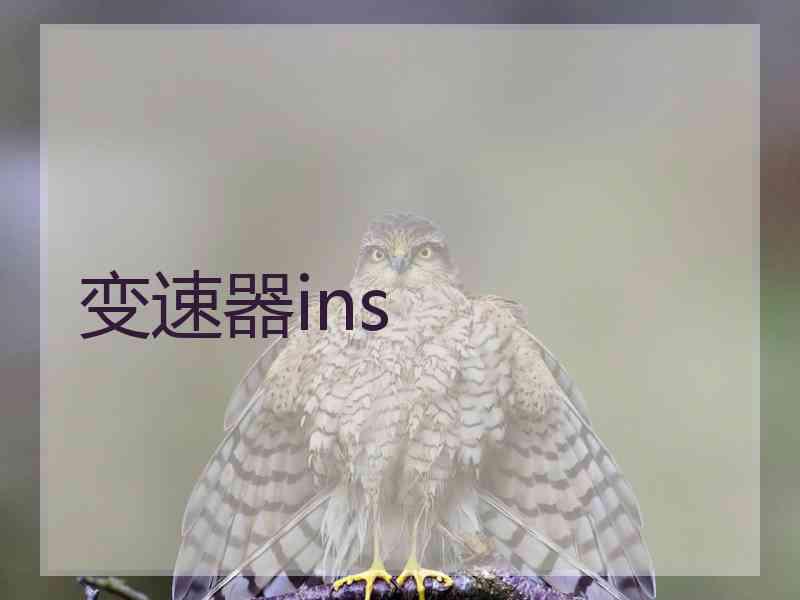 变速器ins