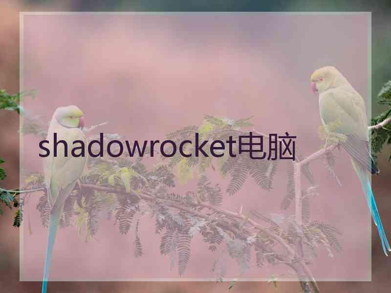 shadowrocket电脑