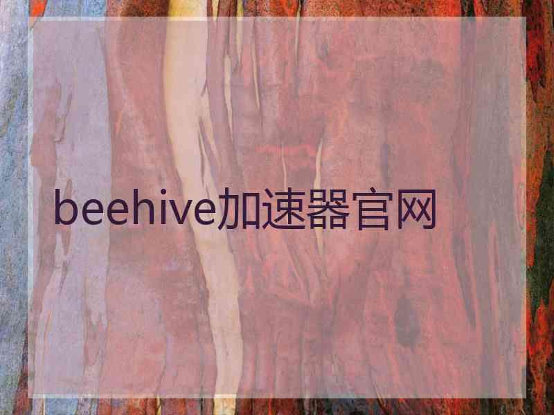 beehive加速器官网