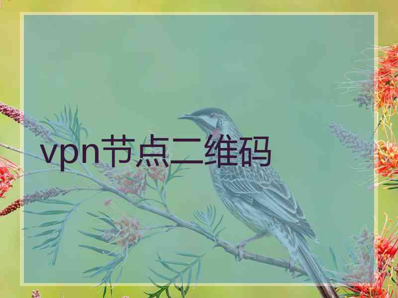 vpn节点二维码