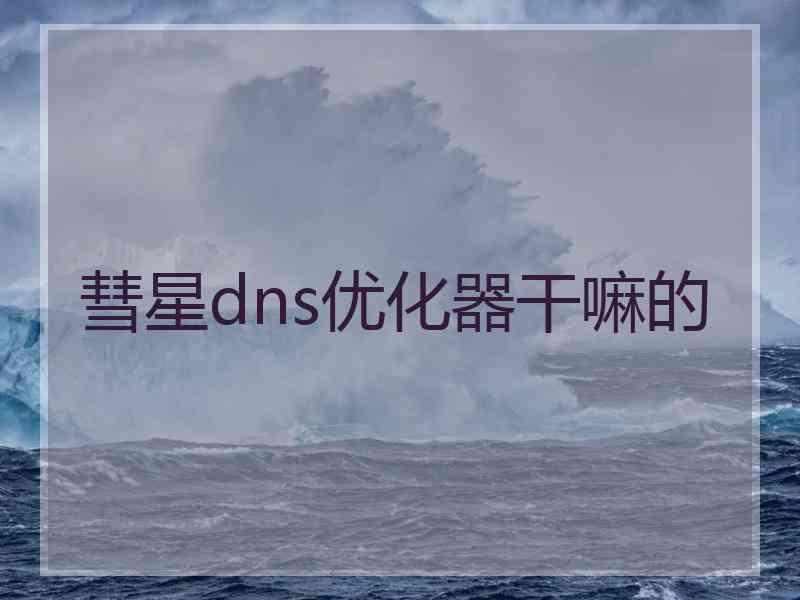 彗星dns优化器干嘛的