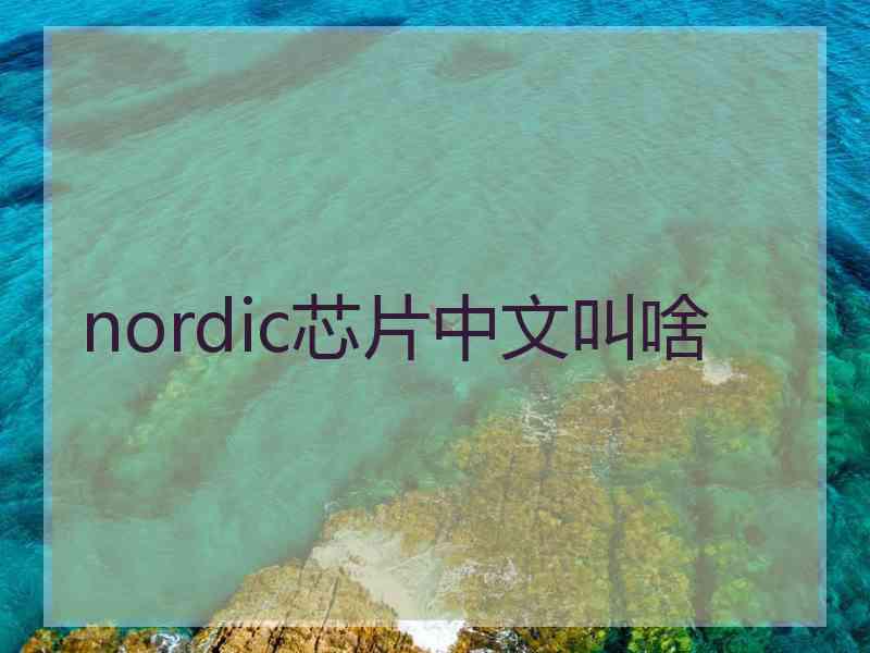 nordic芯片中文叫啥