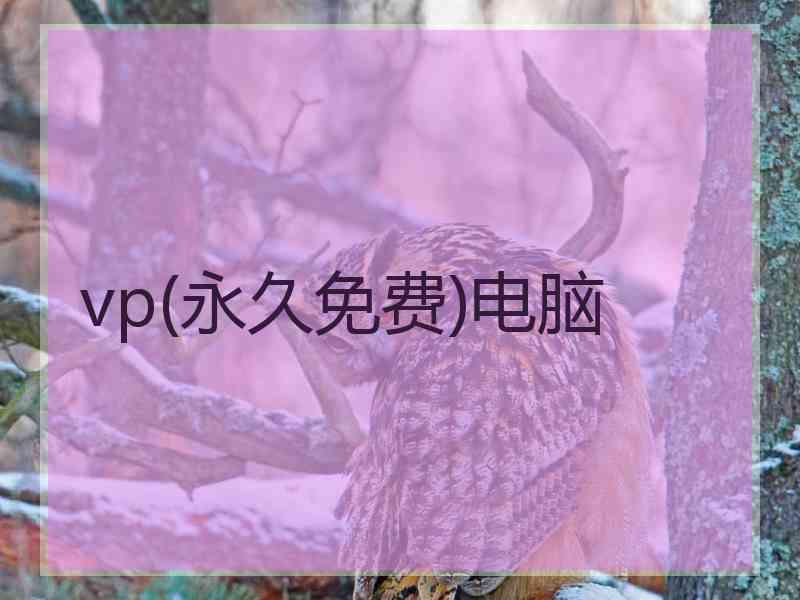 vp(永久免费)电脑