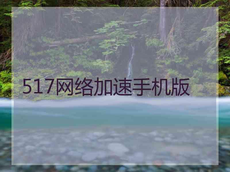 517网络加速手机版