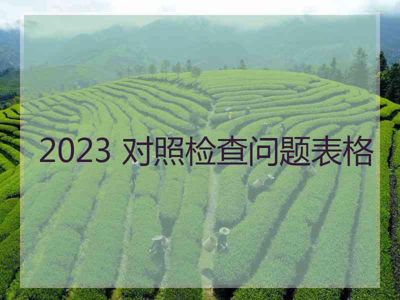 2023 对照检查问题表格