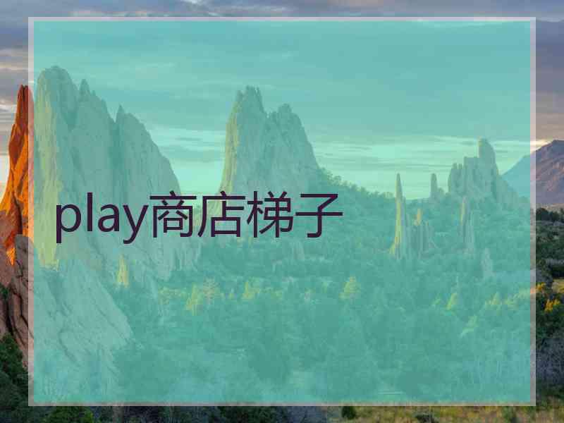 play商店梯子