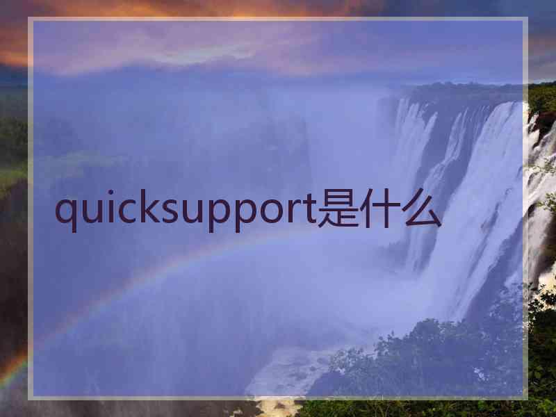 quicksupport是什么