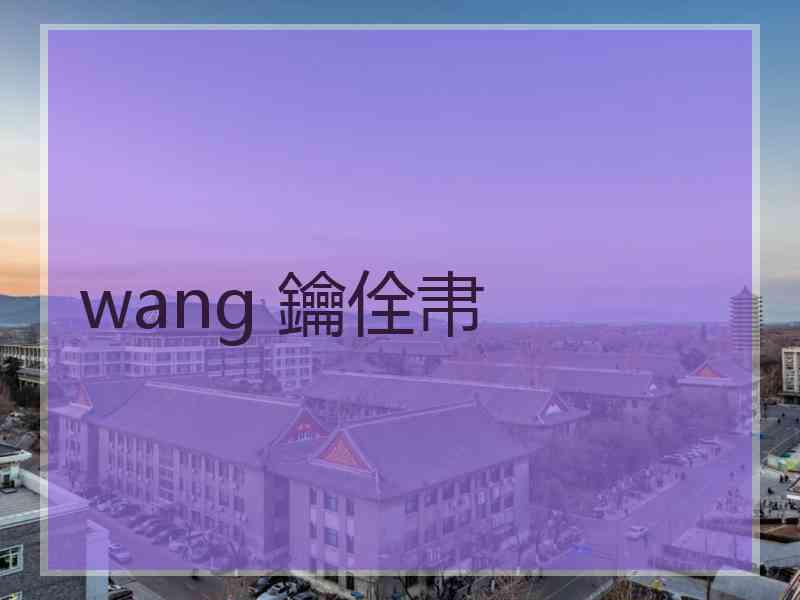 wang 鑰佺帇