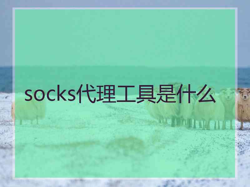 socks代理工具是什么