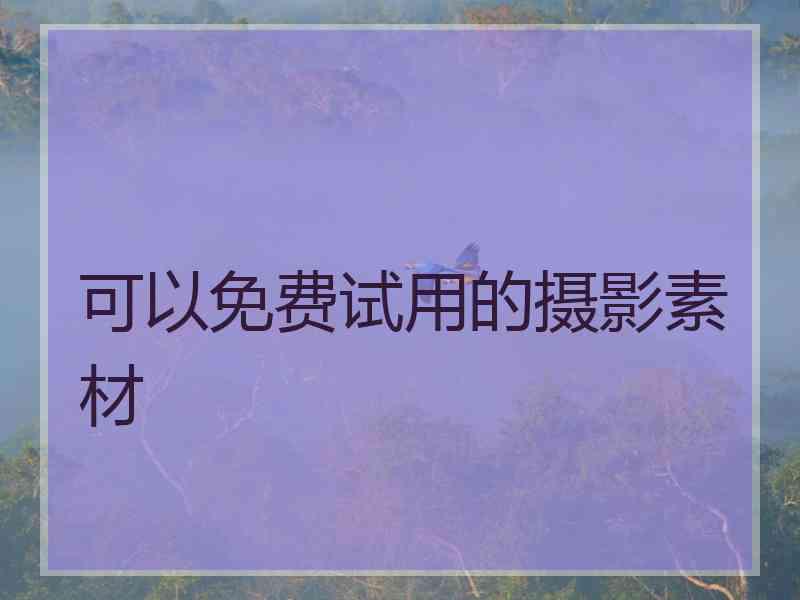 可以免费试用的摄影素材